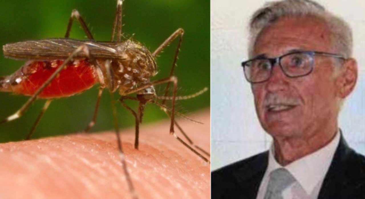 Lorenzo Corradin, primo decesso per West Nile in Veneto nel 2026: la figlia racconta la tragedia