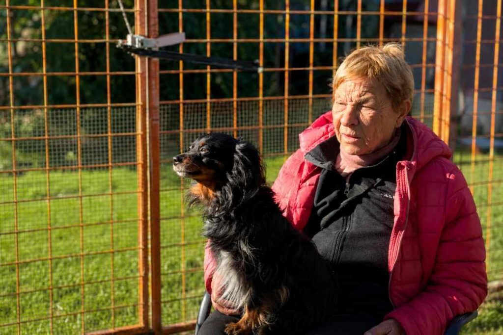 Rifugio per cani a rischio di chiusura: appello per salvare 30 animali