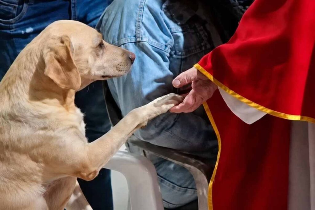 Simón, il cane che tende la zampa al sacerdote durante la preghiera