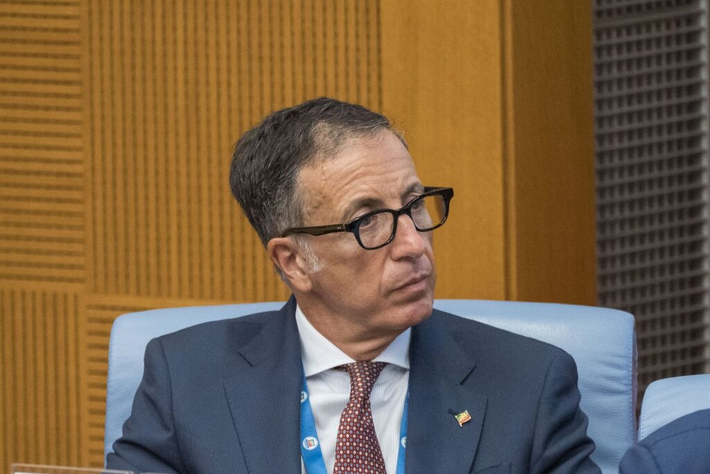 Vannacci non supera il 8% a Reggio Calabria: un test per le Politiche. Parla Pregliasco