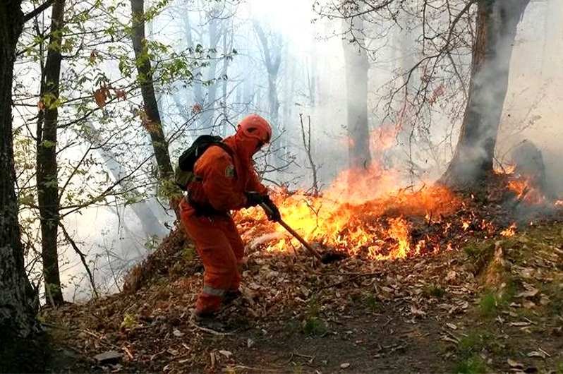 Investimenti regionali per la prevenzione degli incendi boschivi: 1 milione di euro per la tutela del patrimonio forestale
